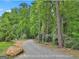 Scenic golf cart path winding through lush greenery, providing easy access within the subdivision at 1240 Hayes Sq, Peachtree City, GA 30269