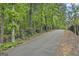 Image of paved street surrounded by beautiful trees at 1240 Hayes Sq, Peachtree City, GA 30269