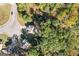 Aerial view of the property surrounded by lush, mature trees at 475 Louise Way, Locust Grove, GA 30248