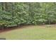 Lush backyard with mature trees and open green space, perfect for outdoor activities at 135 Rockglen Ct, Fayetteville, GA 30215