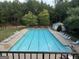 An outdoor community pool surrounded by lounge chairs and trees at 9108 Alden Dr, Locust Grove, GA 30248