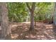 Lush backyard with mature trees at 3404 Broxton Mill Way, Snellville, GA 30039