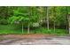 Private backyard basketball court surrounded by lush greenery and mature trees at 1858 Preserve Way, Atlanta, GA 30341