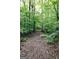 Narrow wooded path through a lush green forest floor covered with fallen leaves and ferns at 6290 Cascade Palmetto Hwy, Fairburn, GA 30213