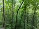 Lush green trees fill the beautiful landscape surrounding the property at 6290 Cascade Palmetto Hwy, Fairburn, GA 30213