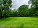 Spacious backyard featuring lush green grass and mature trees for privacy and shade at 920 Courthouse Rd, Temple, GA 30179