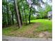 View of the backyard featuring a large green lawn and perimeter of lush, mature trees at 920 Courthouse Rd, Temple, GA 30179