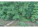 Aerial view of the private backyard and stone walkway with mature trees and lush landscaping at 165 Hidden Lake Dr, Fayetteville, GA 30215