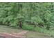 View of the natural backyard featuring mature trees and a stone path at 165 Hidden Lake Dr, Fayetteville, GA 30215