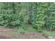 Natural backyard featuring mature trees and lush greenery at 165 Hidden Lake Dr, Fayetteville, GA 30215