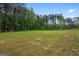 Expansive backyard with lush green grass surrounded by mature trees at 337 Paynes Lake Rd, Carrollton, GA 30116