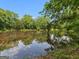 Still pond surrounded by mature trees on the property with reflections in the water at 114 Overlook Dr, Mcdonough, GA 30252