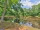 Still pond surrounded by mature trees on property at 114 Overlook Dr, Mcdonough, GA 30252