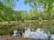 Still pond on property surrounded by mature trees and greenery at 114 Overlook Dr, Mcdonough, GA 30252