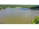 Aerial view of a peaceful lake surrounded by lush greenery and waterfront properties at 23 Skyland W Dr, Locust Grove, GA 30248