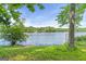 Scenic lake view with a lush green lawn, mature trees, and serene blue waters at 23 Skyland W Dr, Locust Grove, GA 30248