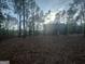 Rear view of dark two-story house surrounded by trees in a large backyard setting at 142 Tye St, Stockbridge, GA 30281