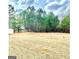 Spacious backyard featuring mature trees and greenery, perfect for outdoor activities at 413 Atlas Ct, Locust Grove, GA 30248