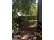 An overgrown and wooded backyard with a wooden fence, offering privacy at 8636 Woodside Ln, Jonesboro, GA 30238