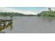 Scenic lake view featuring a wooden dock, enveloped by lush greenery, promising tranquil waterfront living at 270 E James Cir, Hampton, GA 30228