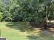 Expansive backyard with lush greenery, offering a serene and private outdoor space at 30 Highlands Ln, Oxford, GA 30054