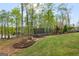 Lush backyard with a trampoline, landscaping, mature trees, and lake access provide outdoor enjoyment at 157 Waterlace Way, Fayetteville, GA 30215