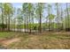 Backyard with mature trees, lake access, and a natural landscape offers a serene outdoor environment at 157 Waterlace Way, Fayetteville, GA 30215