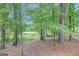 Scenic view of a tranquil pond surrounded by lush greenery at 17 Sawtooth Oak Dr, Moreland, GA 30259