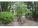 Long driveway leading up to the property through a mature stand of trees at 1590 Colonial South Sw Dr, Conyers, GA 30094