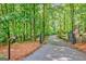 Long, gated driveway winding through a serene wooded landscape at 305 Postwood Dr, Fayetteville, GA 30215