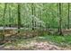 Wooded land featuring a serene stream at 305 Postwood Dr, Fayetteville, GA 30215