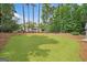 Lush backyard with tall trees and green lawn, providing shade and a serene outdoor space at 2885 Laurel Green Ct, Roswell, GA 30076