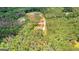 Aerial view showcases the home's wooded location and long driveway at 74 Riverwood Trl, Grantville, GA 30220