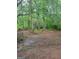 Image shows the home's backyard featuring large trees, leaves covering the ground, and an old metal fence at 106 Garden Trl, Stockbridge, GA 30281