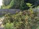 Lush blackberry bushes loaded with fruit, showcasing a thriving garden and wooden fence at 175 Bridgemill Dr, Covington, GA 30014