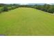 Expansive green field with trees in the background, highlighting the vastness and natural beauty of the property at 3612 Bill Gardner Pkwy, Locust Grove, GA 30248