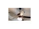 A ceiling fan with lights attached at 473 Cherry Creek Dr, Loganville, GA 30052