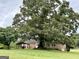 Lush backyard featuring mature tree, covered patio, and beautiful landscaping on a brick home at 10 Wigwam Cir, Whitesburg, GA 30185
