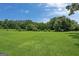 Lush green backyard with a spacious lawn and mature trees, perfect for outdoor activities and relaxation at 10 Wigwam Cir, Whitesburg, GA 30185