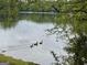Scenic lake view featuring tranquil waters, lush greenery, and wildlife, providing a serene and picturesque natural setting at 10 Wigwam Cir, Whitesburg, GA 30185