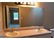 Dual sink bathroom vanity with ample counter space and a large mirror at 2763 Hunters Ct, Hampton, GA 30228