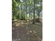 Large backyard with mature trees and sunlight at 10178 Top Tree Ct, Jonesboro, GA 30238