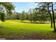 Picturesque backyard with expansive green space and mature trees, ideal for recreation and enjoying nature at 1014 Overlook Dr, Villa Rica, GA 30180