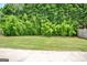 Expansive backyard with lush greenery, providing a serene and private outdoor space at 240 Turnbridge Cir, Peachtree City, GA 30269