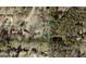 A bird's eye view showing the property's location, lot size, and surrounding neighborhood in a wooded area at 69 Trace Ct, Stockbridge, GA 30281