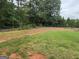 Partially fenced backyard featuring a combination of grass and dirt areas with surrounding woods at 521 Deadwood Trl, Locust Grove, GA 30248