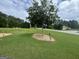 Large grassy front yard featuring a single tree surrounded by small rocks and landscaping lights at 521 Deadwood Trl, Locust Grove, GA 30248
