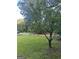 Lush front yard featuring mature trees, offering shade and natural beauty at 7138 Rockland Rd, Lithonia, GA 30038