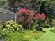 Landscaped backyard featuring vibrant flowering bushes, green grass, and a wooden fence at 1753 Brenda Dr, Jonesboro, GA 30236