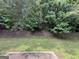 Backyard landscape with a retaining wall and natural growth, creating a serene outdoor space at 3205 Anneewakee Falls Pkwy, Douglasville, GA 30135